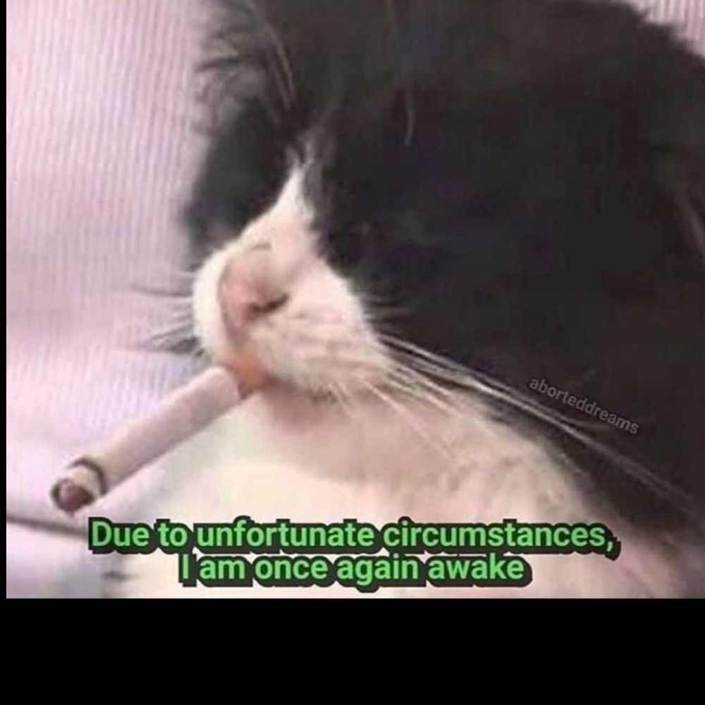 Binx