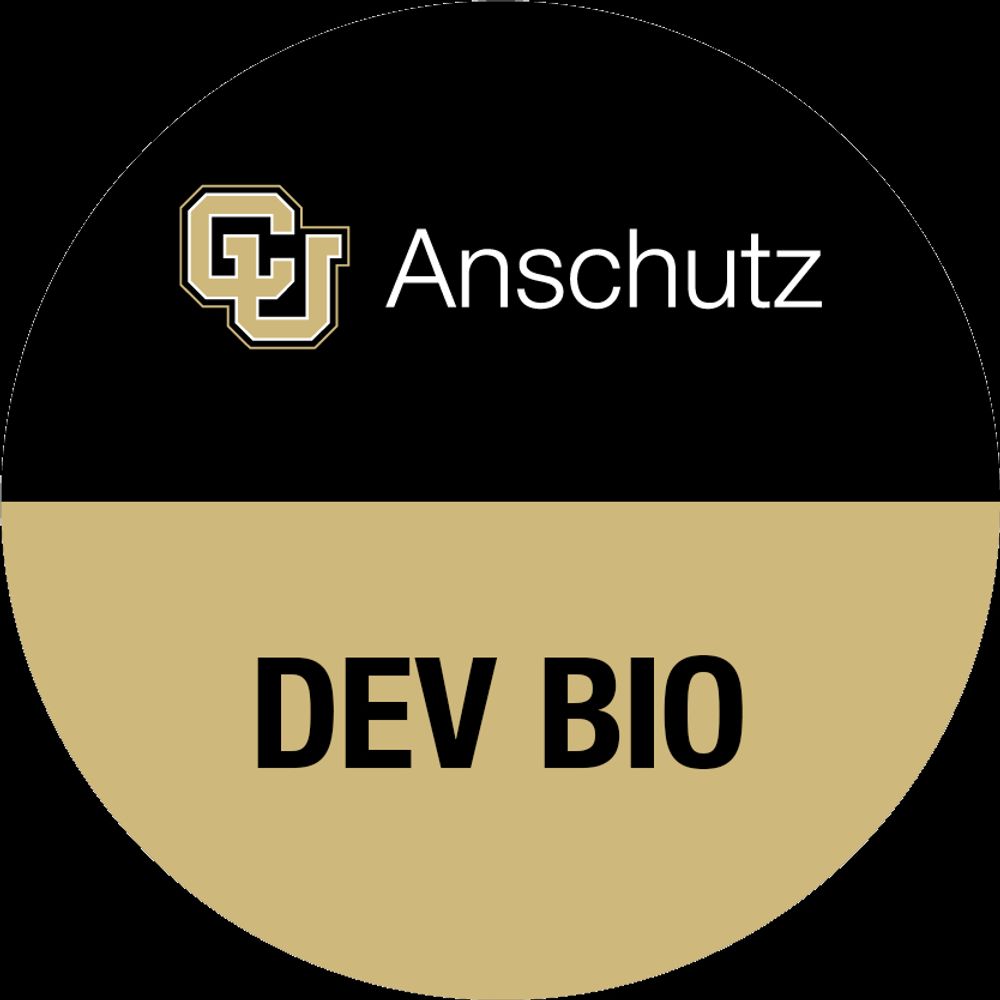 CU Anschutz Developmental Biology