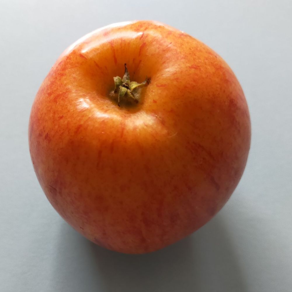 Alteno