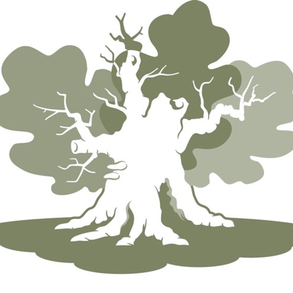 Ancient Tree Forum