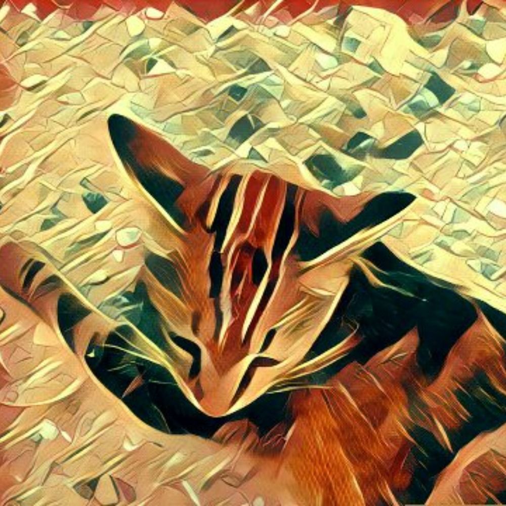 Meewnn