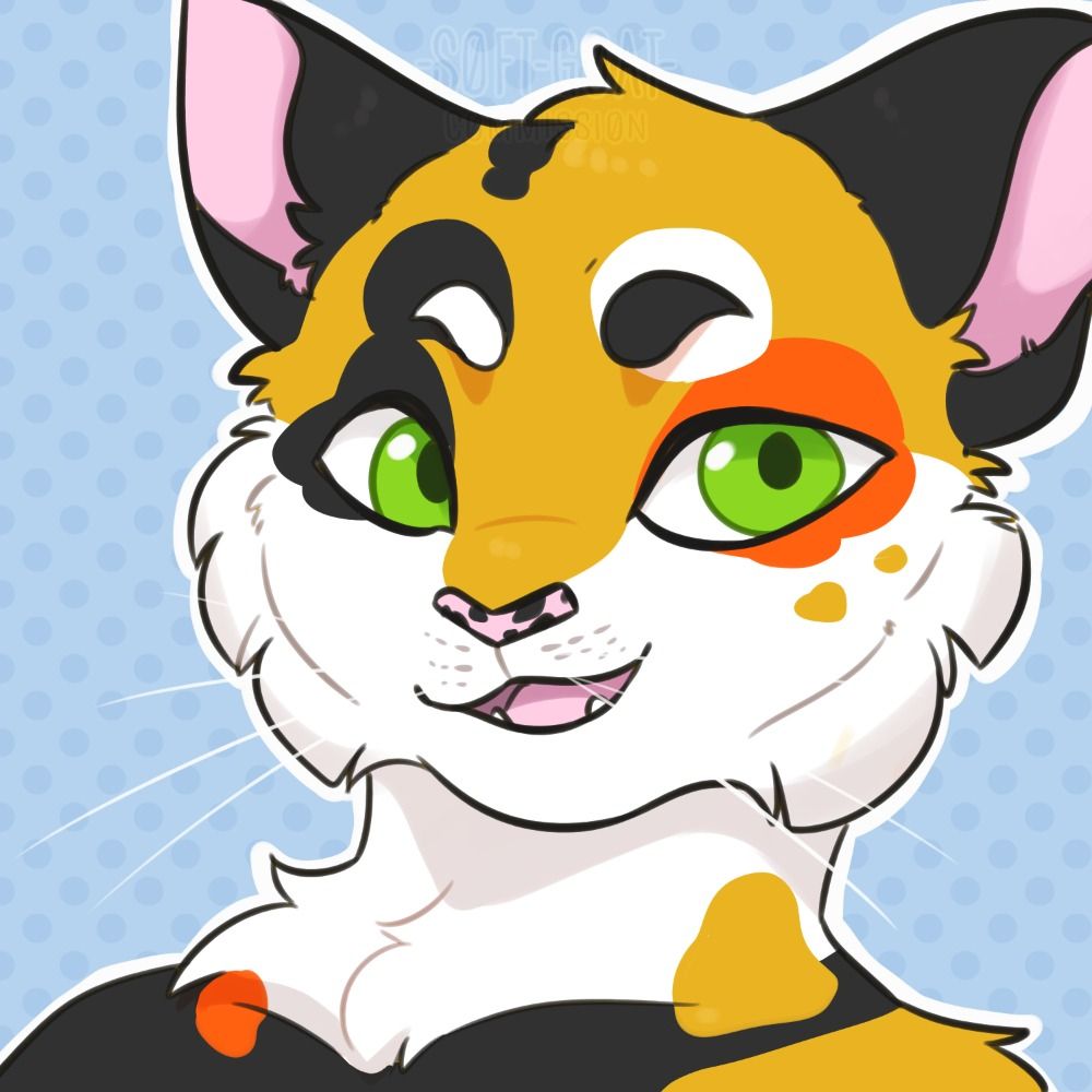 Rascally Feline