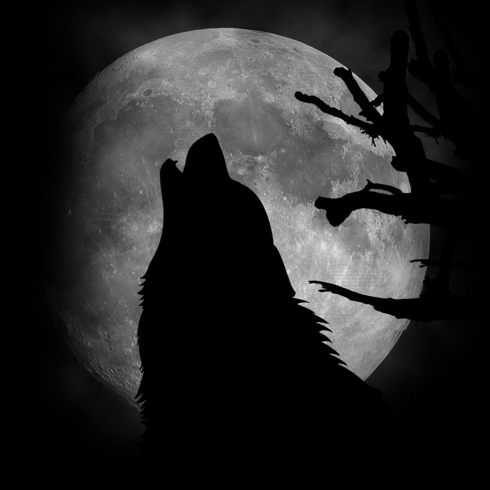 Mr_Midnigh7