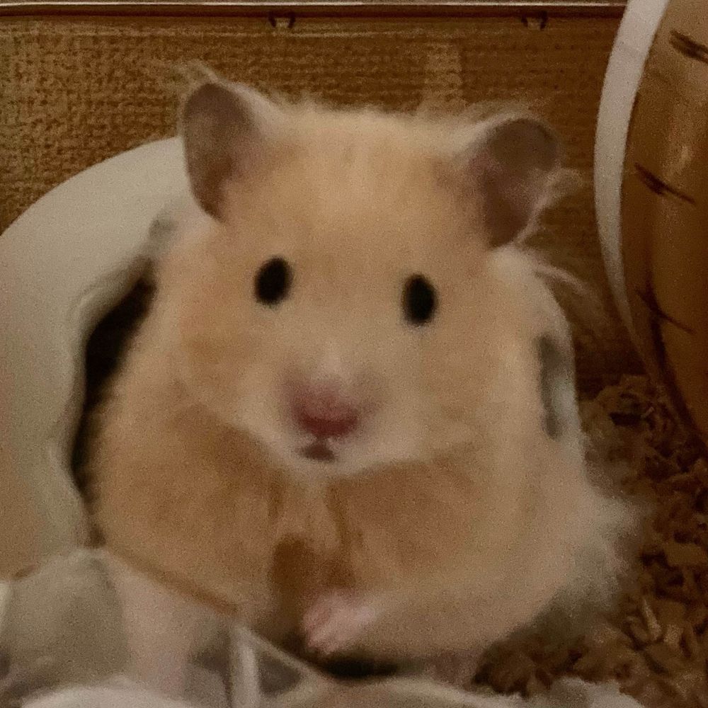 くさと