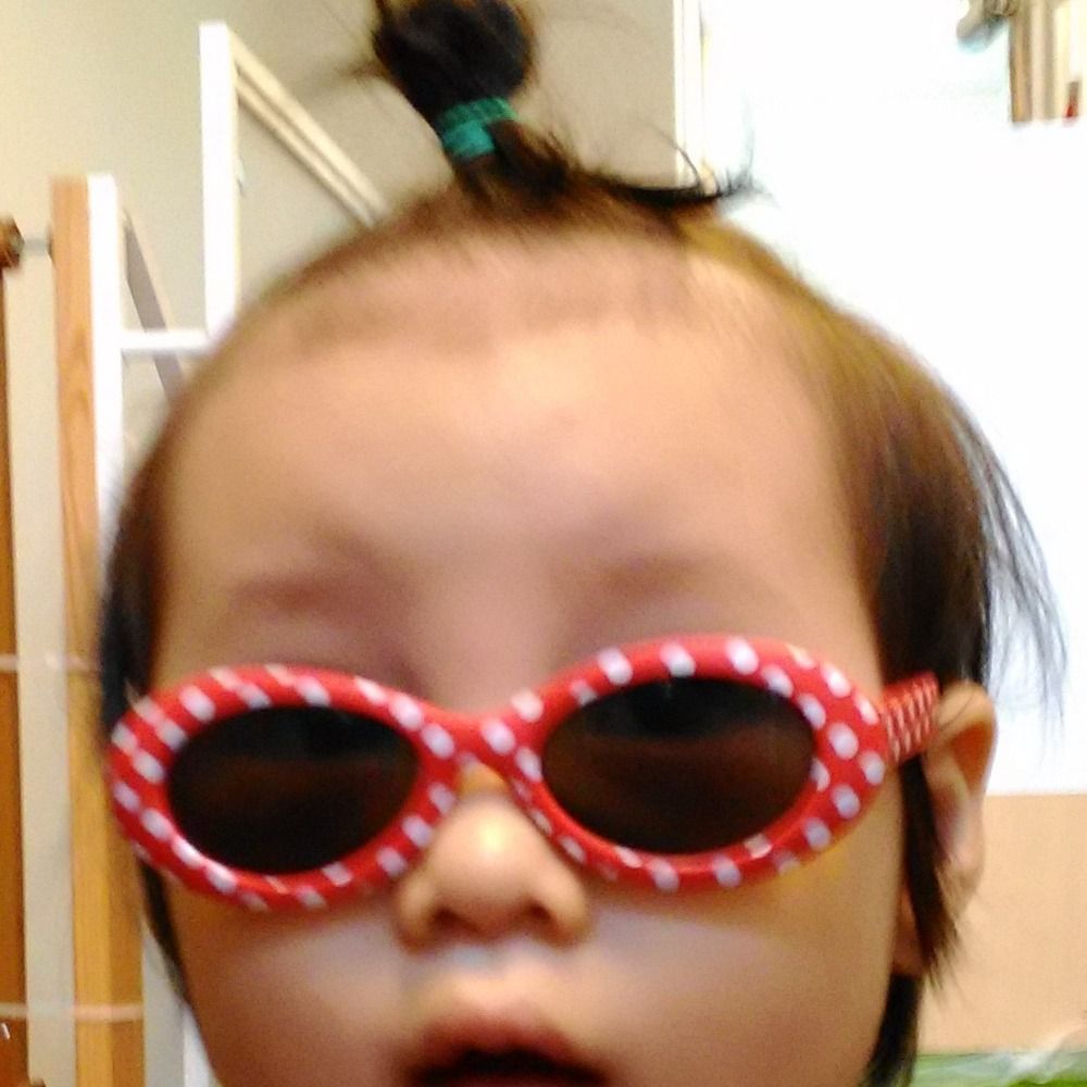 Shige2023