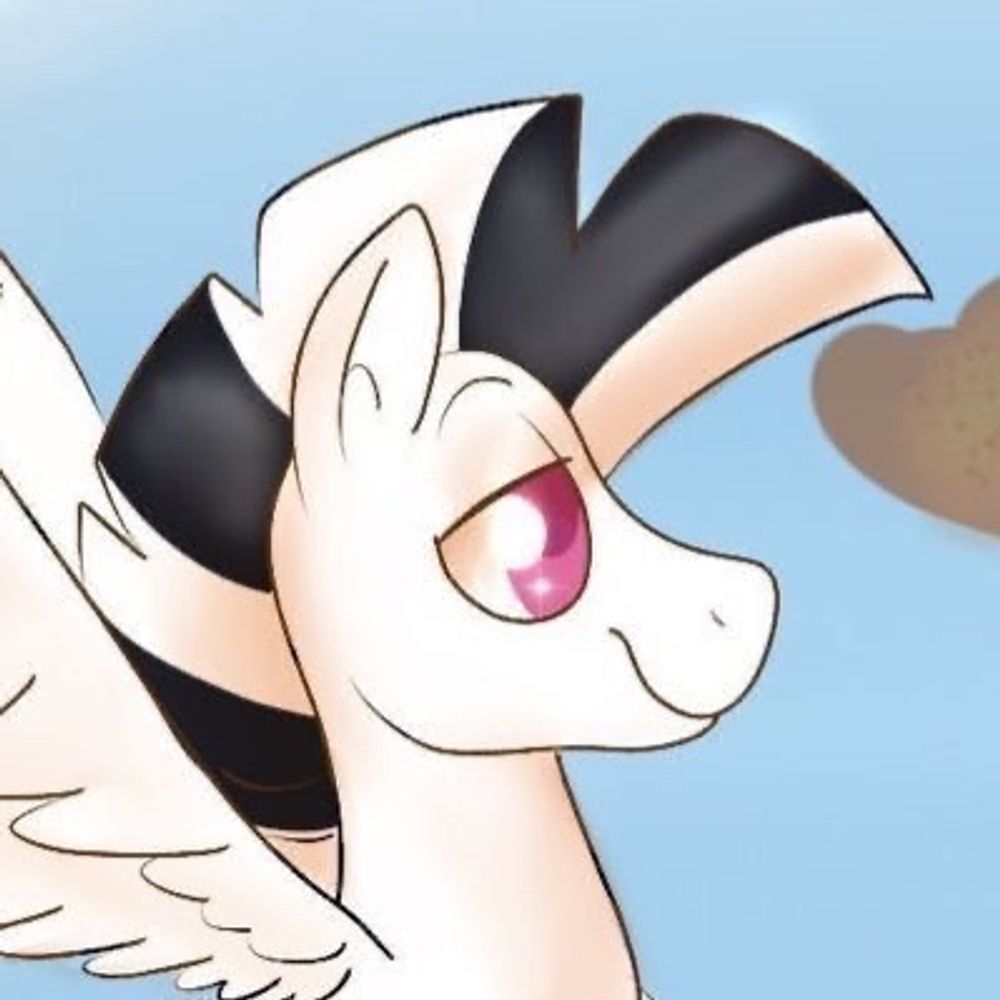 Calypso The Zebra