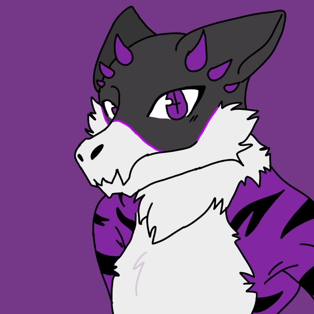 Midnight The Ender Furry