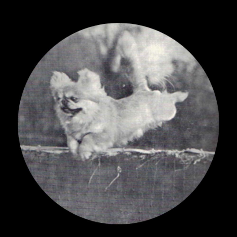 Alison Skipper