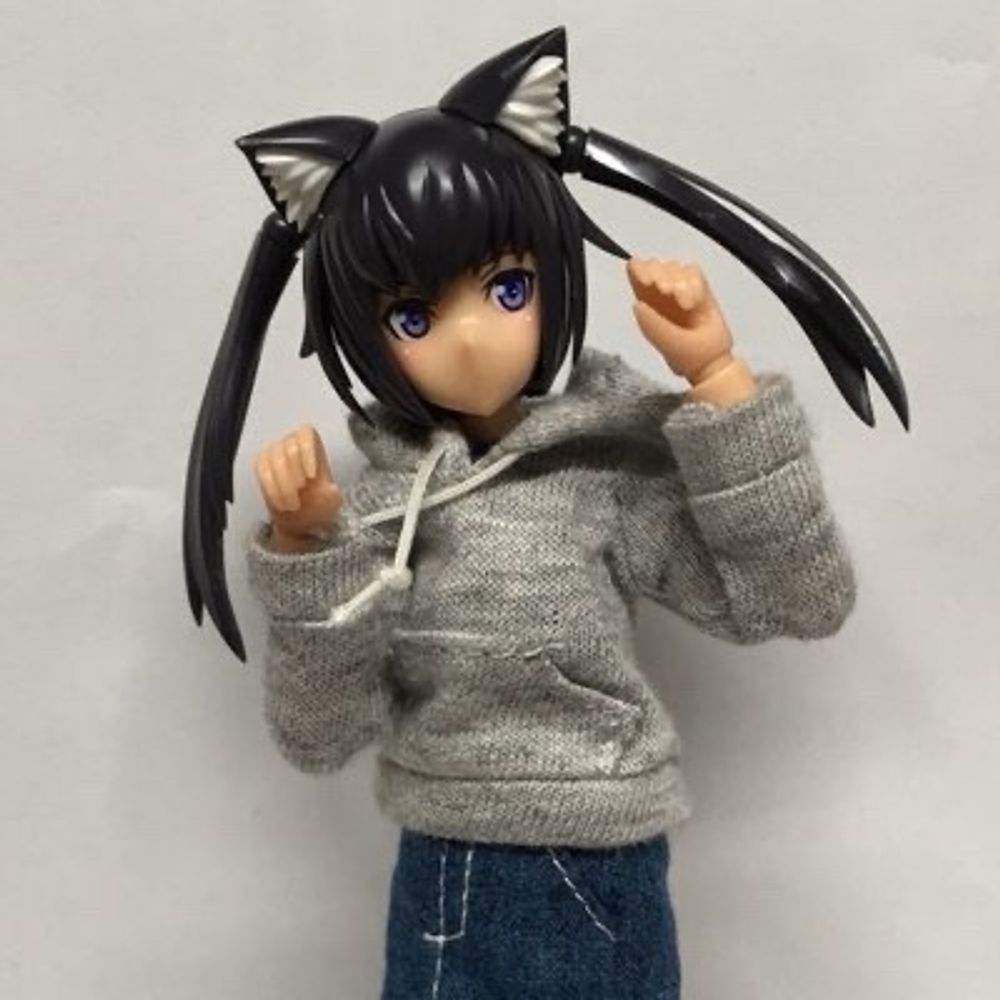 アミサギ