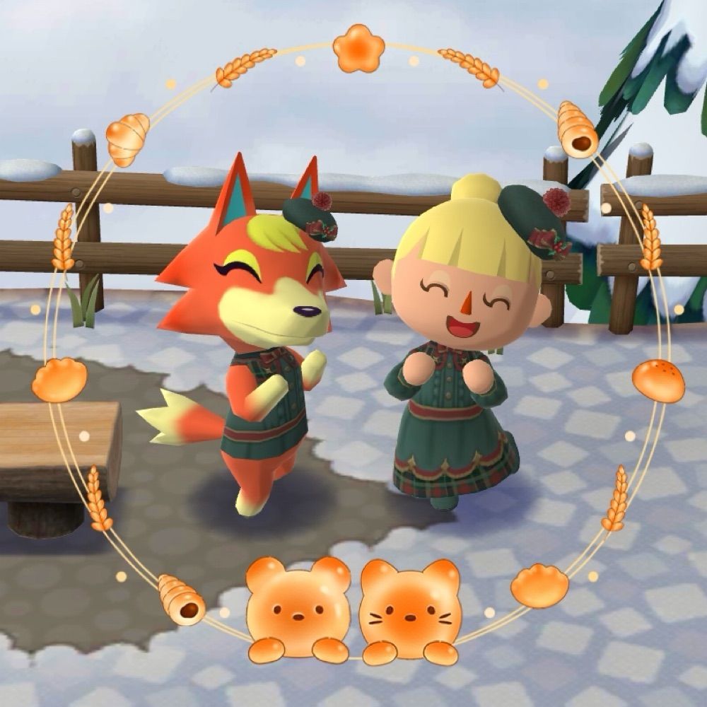 サァ₍ᐢ..ᐢ₎