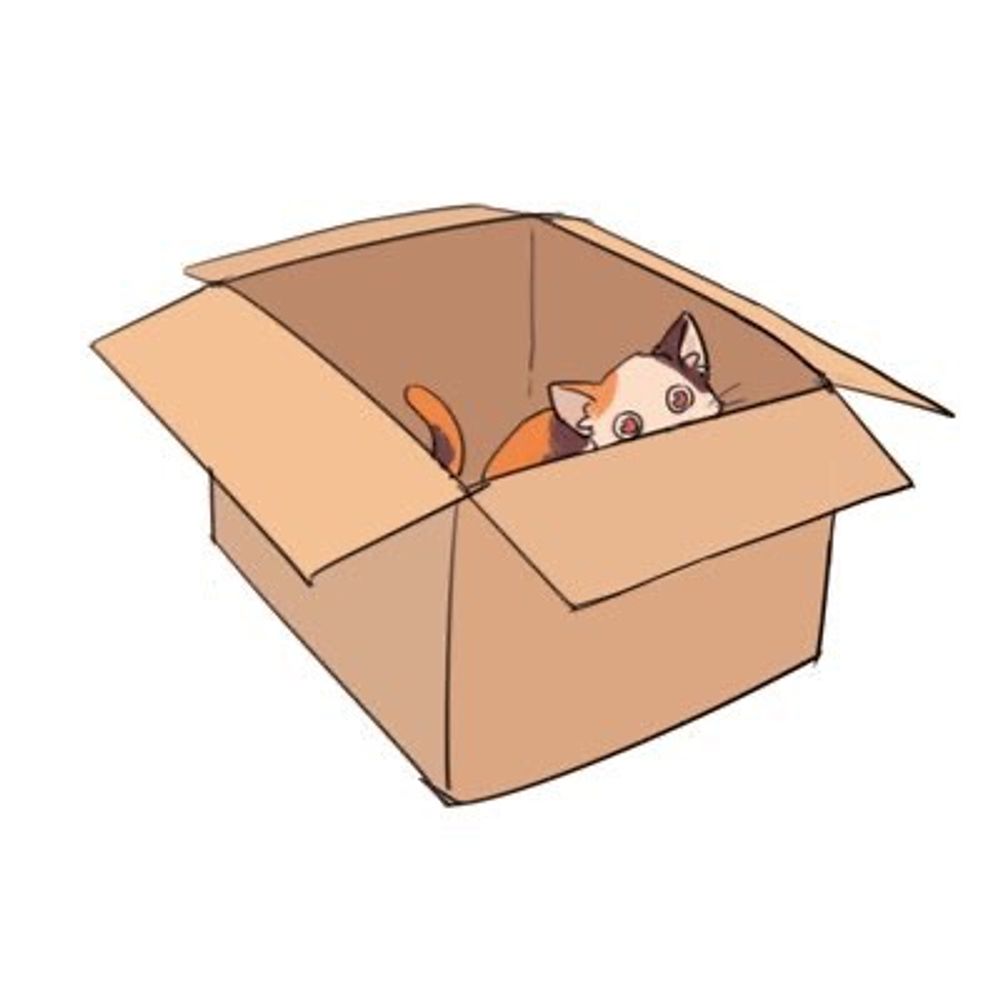 ハコ