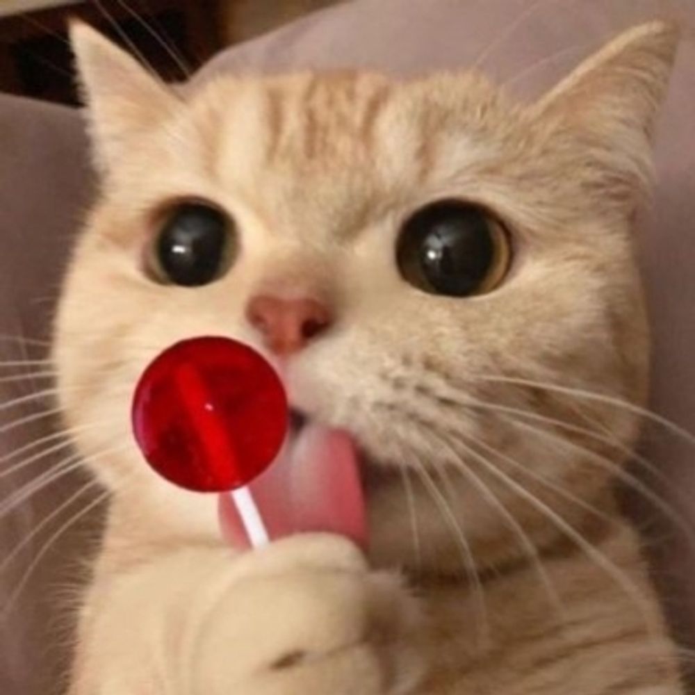 gusta
