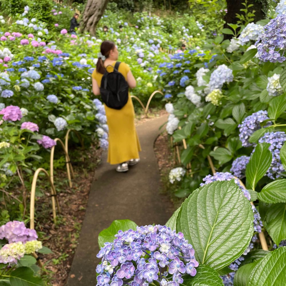 Yoko Kanehara
