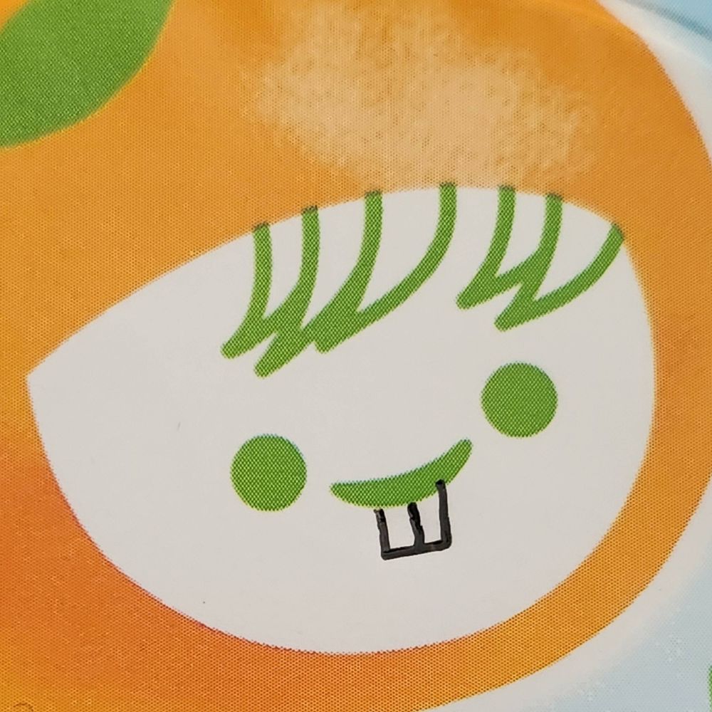 ノコスキー