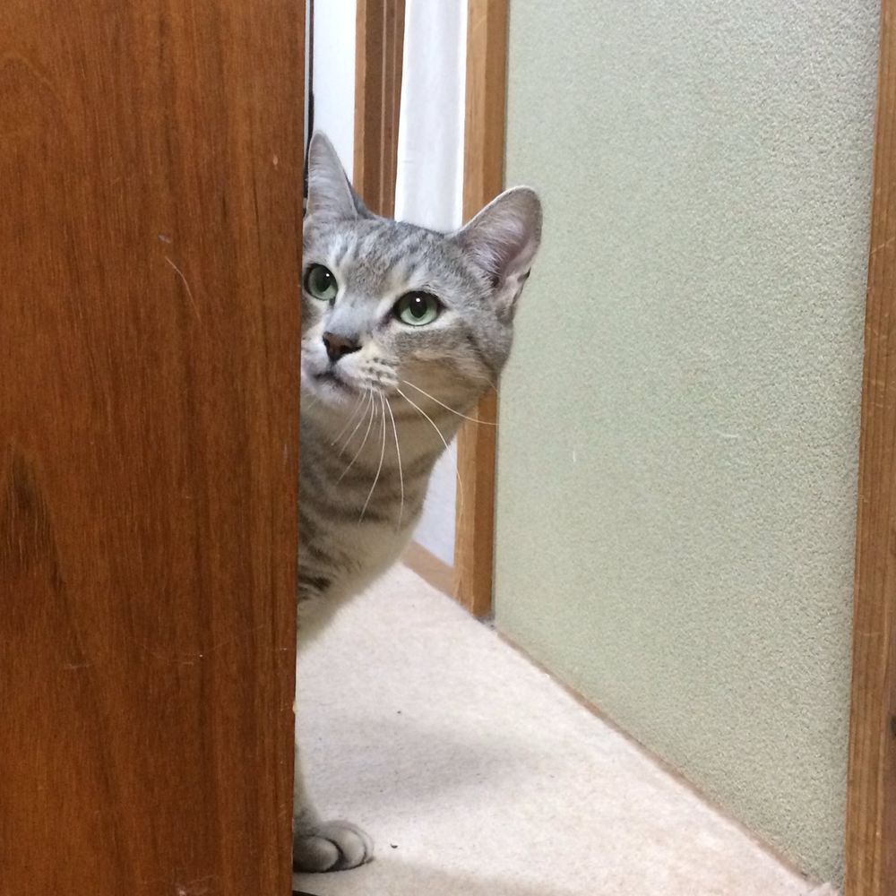とーま