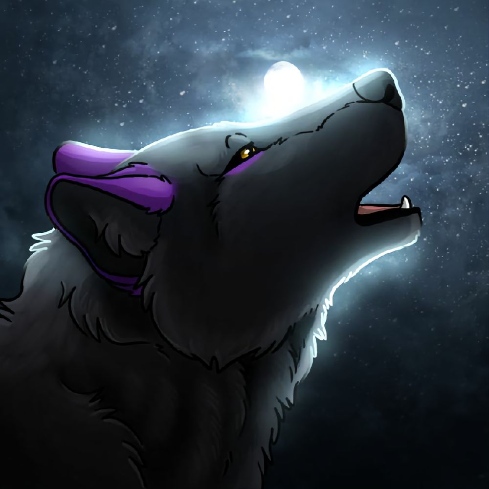 MIDNIGHTSKYWOLF 