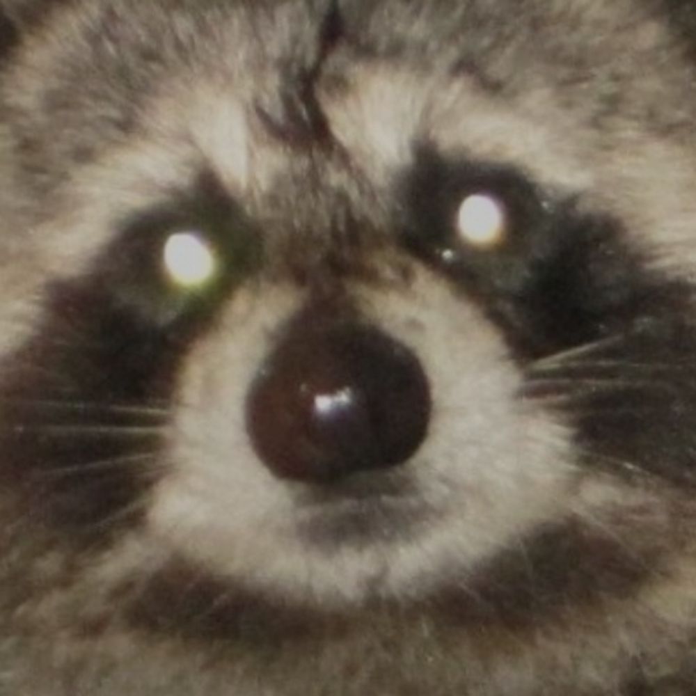 Gon