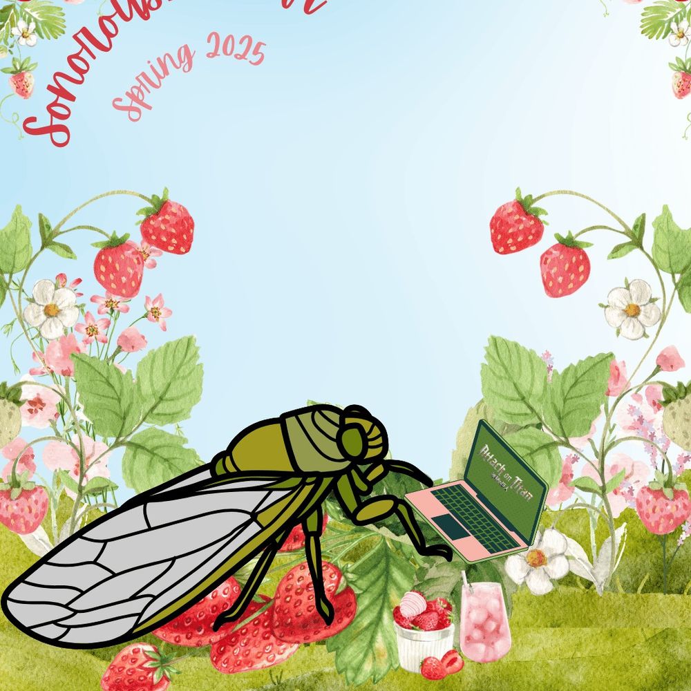 Sonorous_Cicada