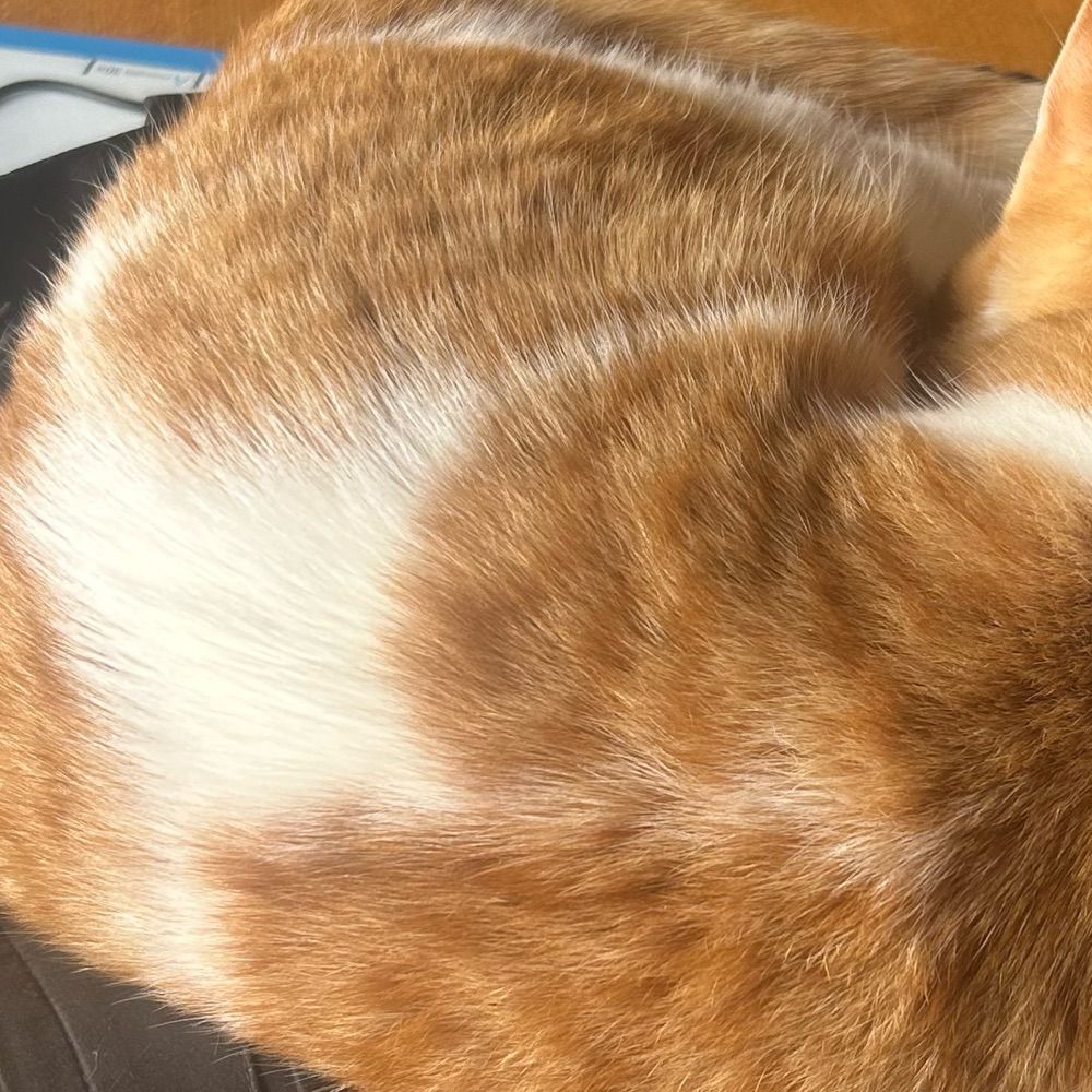 さと〜