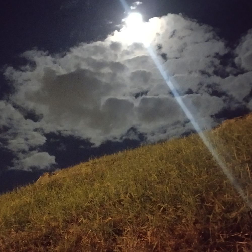 cultoftheblind.bsky.social profile picture