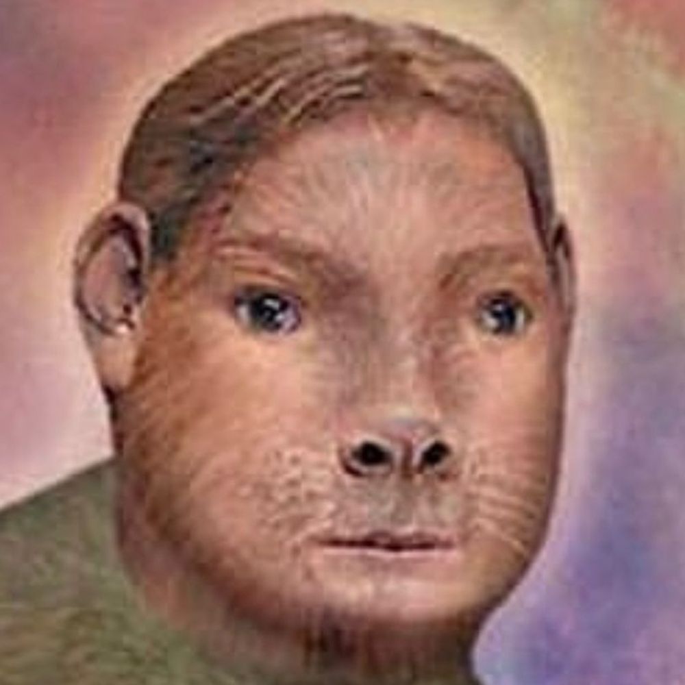 Swamp Wobbly's avatar