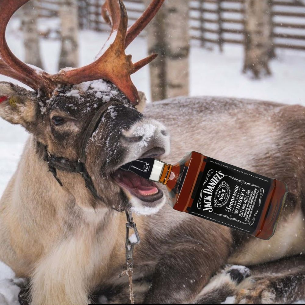 Prancer
