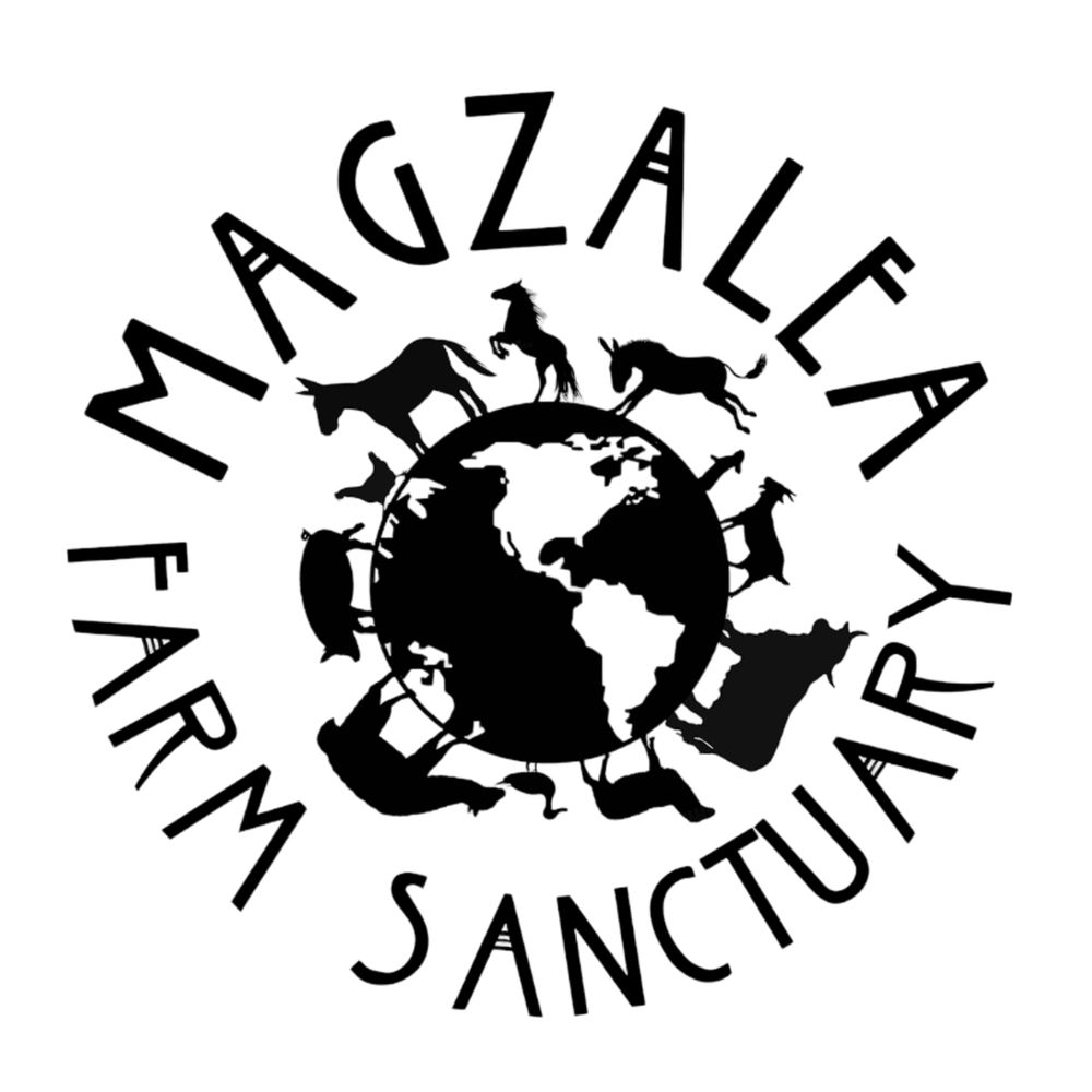 Profile picture magzaleasanctuary.bsky.social