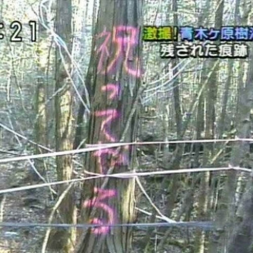 通行人Ａ（詐欺見習）