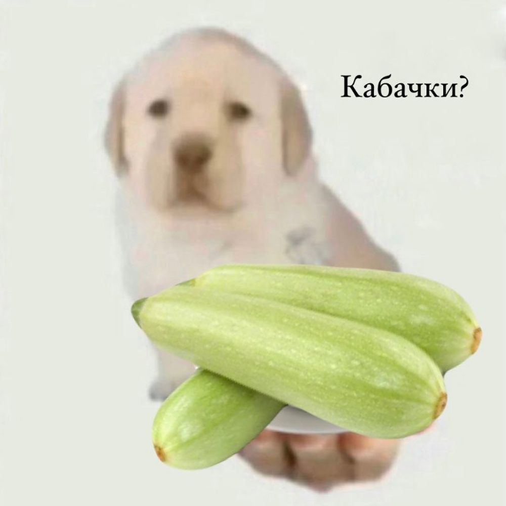 даша 👁