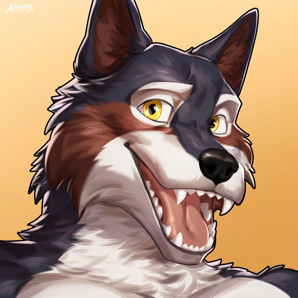 Desoto Wolf