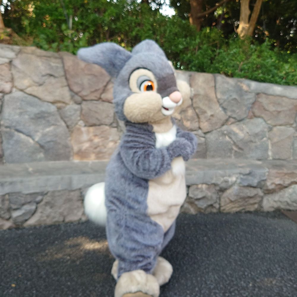 tomo4