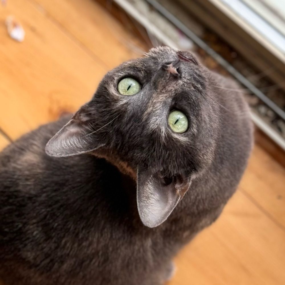 k8