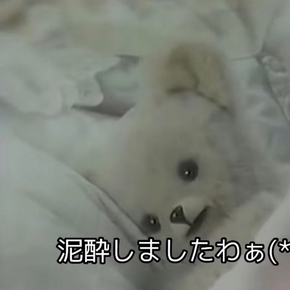 七海
