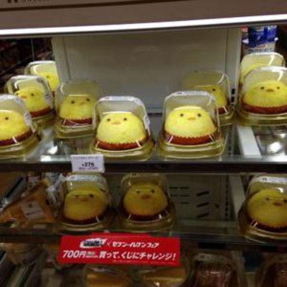 りとるす