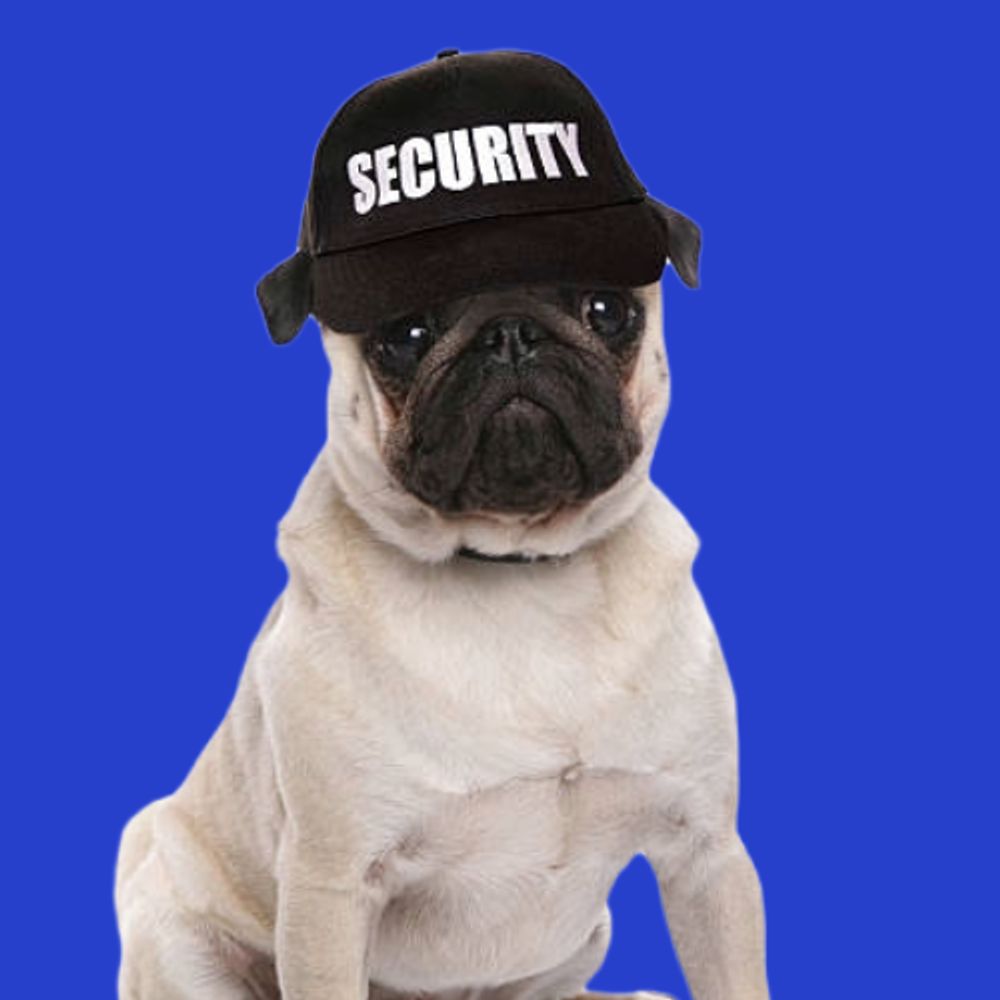 Cyber Safety Watchdog