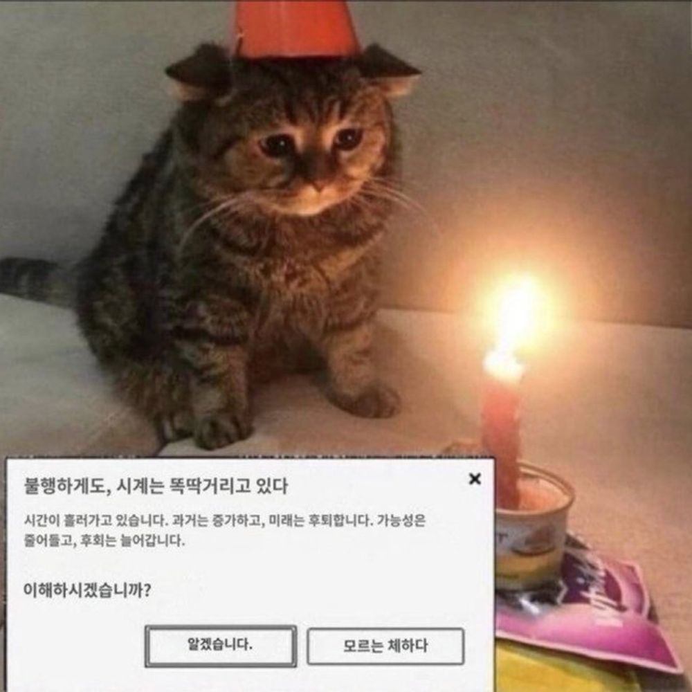도토리