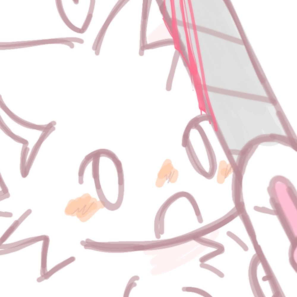 Shrimp