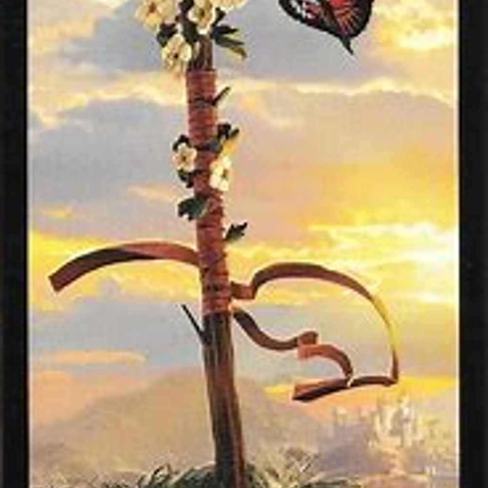Alan Reads Tarot