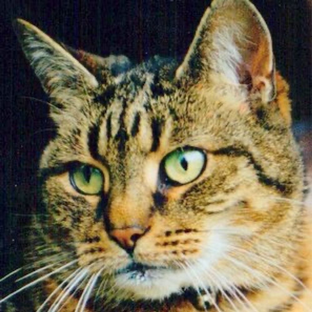 Sam