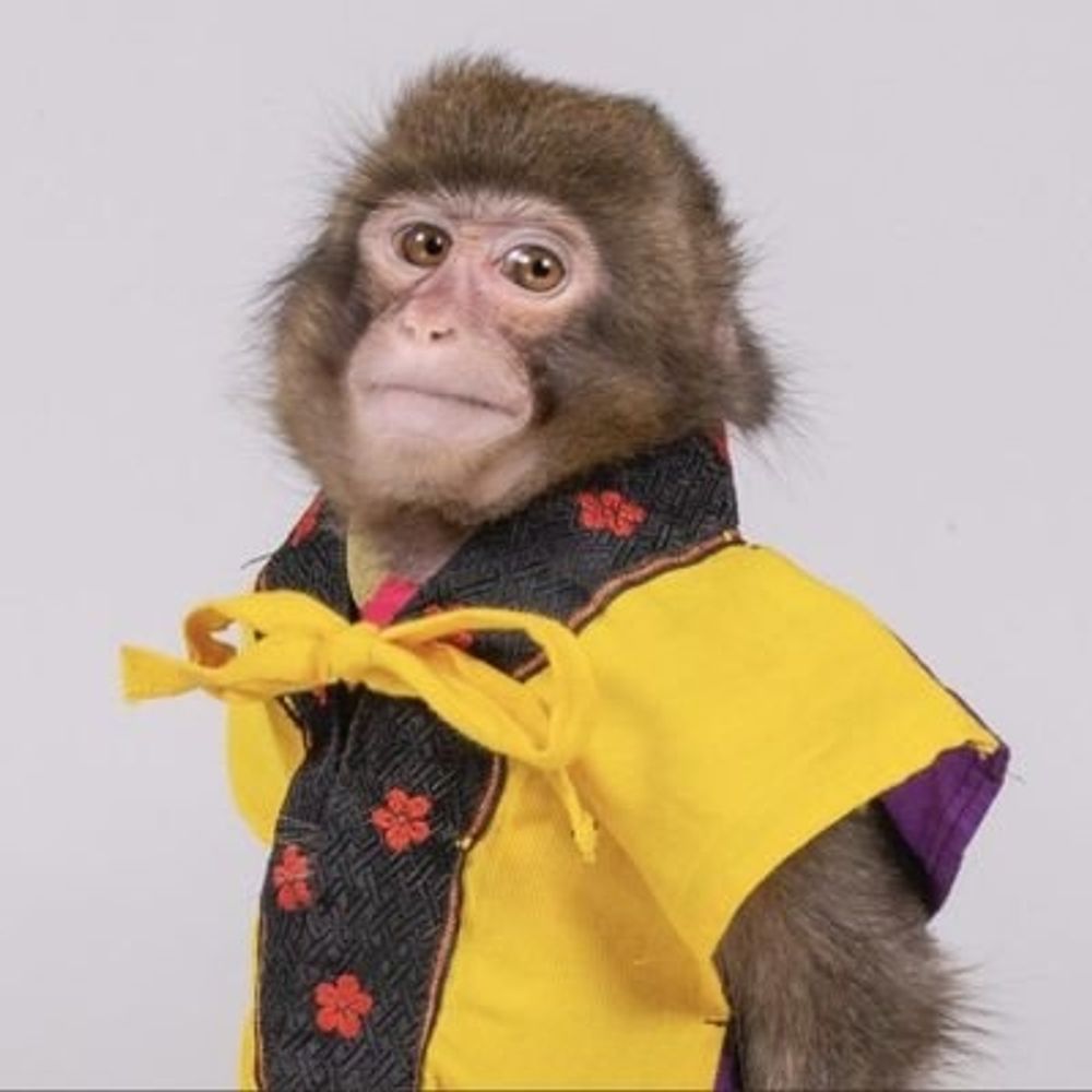 Fabien