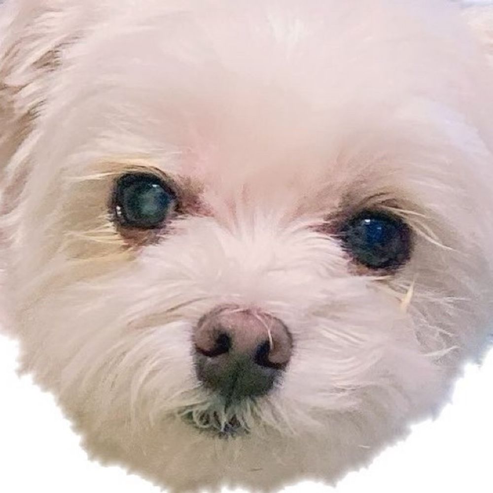 ∵