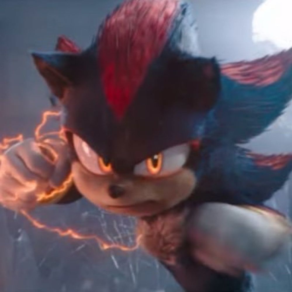 ❤️LAYLA🖤// #1 SHADOW APOLOGIST🦔