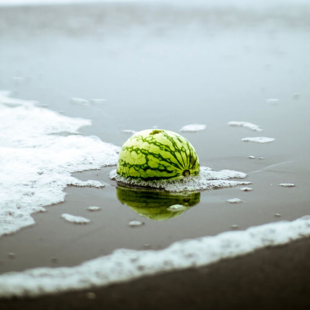 수박🍉마파
