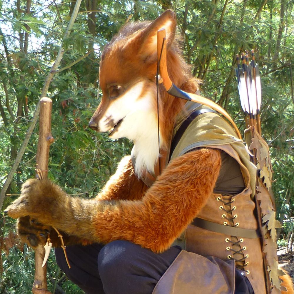 Fox Seeking Skulk