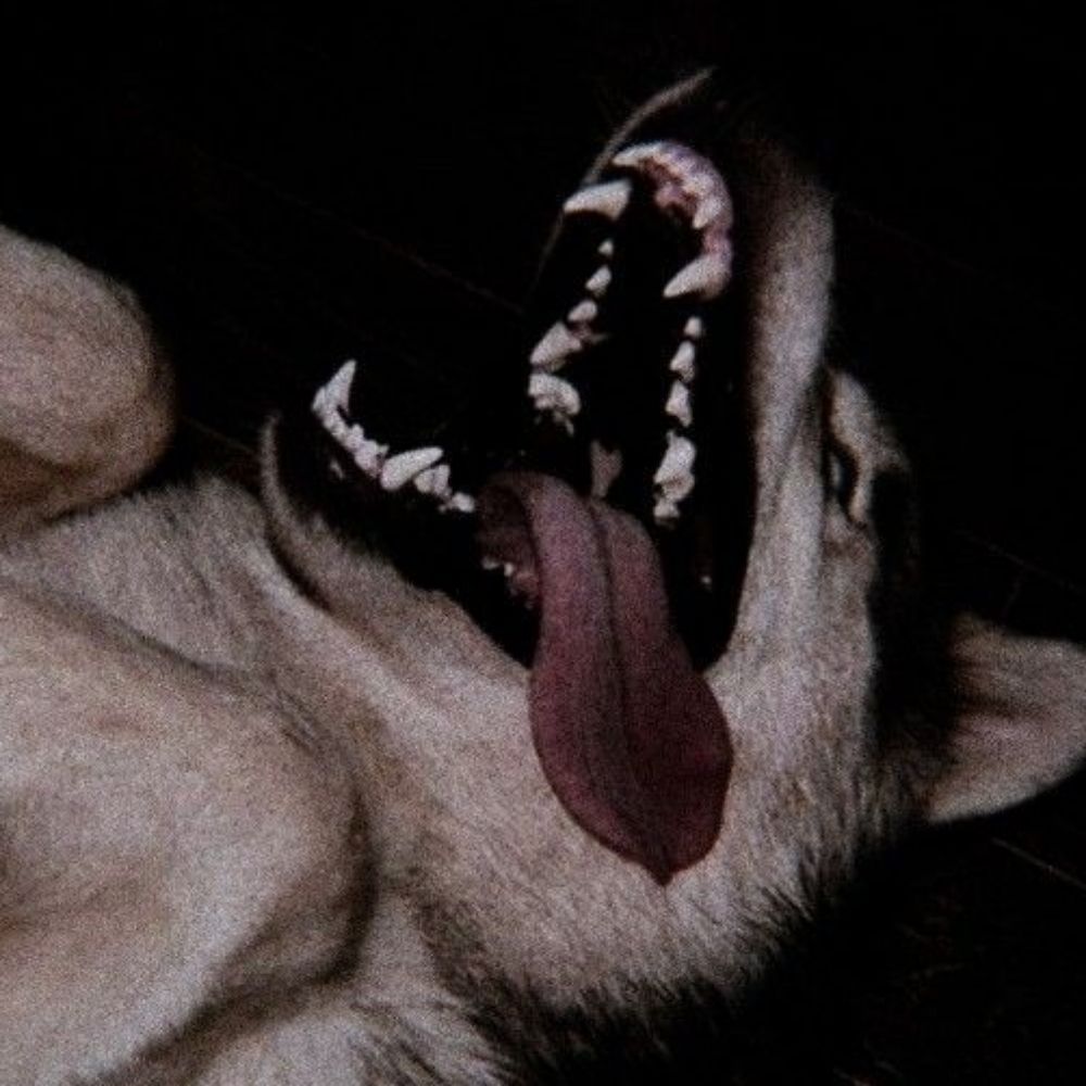 Luci☪︎ ִ ࣪