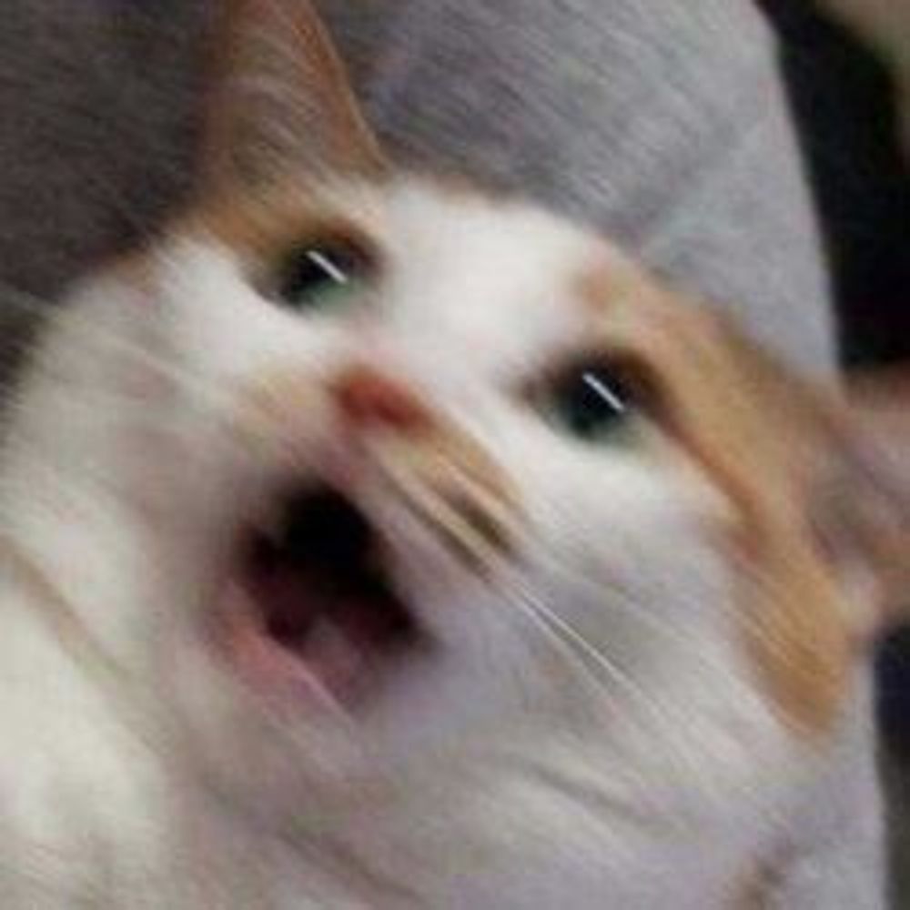 nirya/iya || PLS DONT FOLLOW ME TY