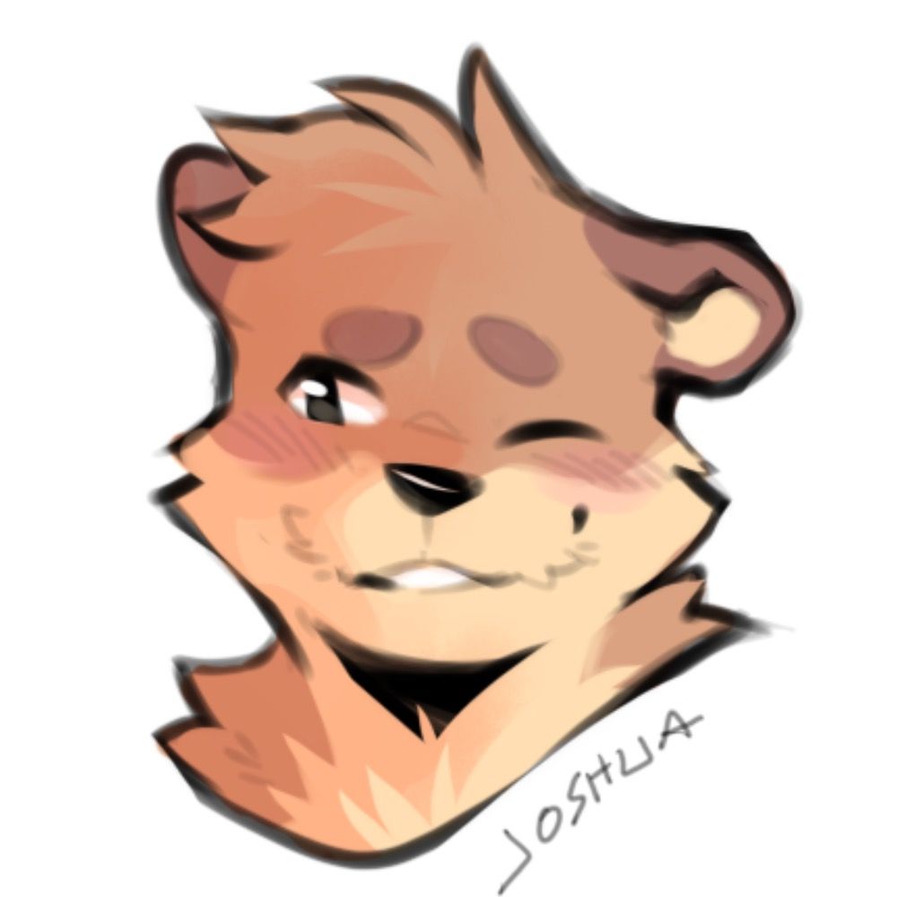 Joshua🦦
