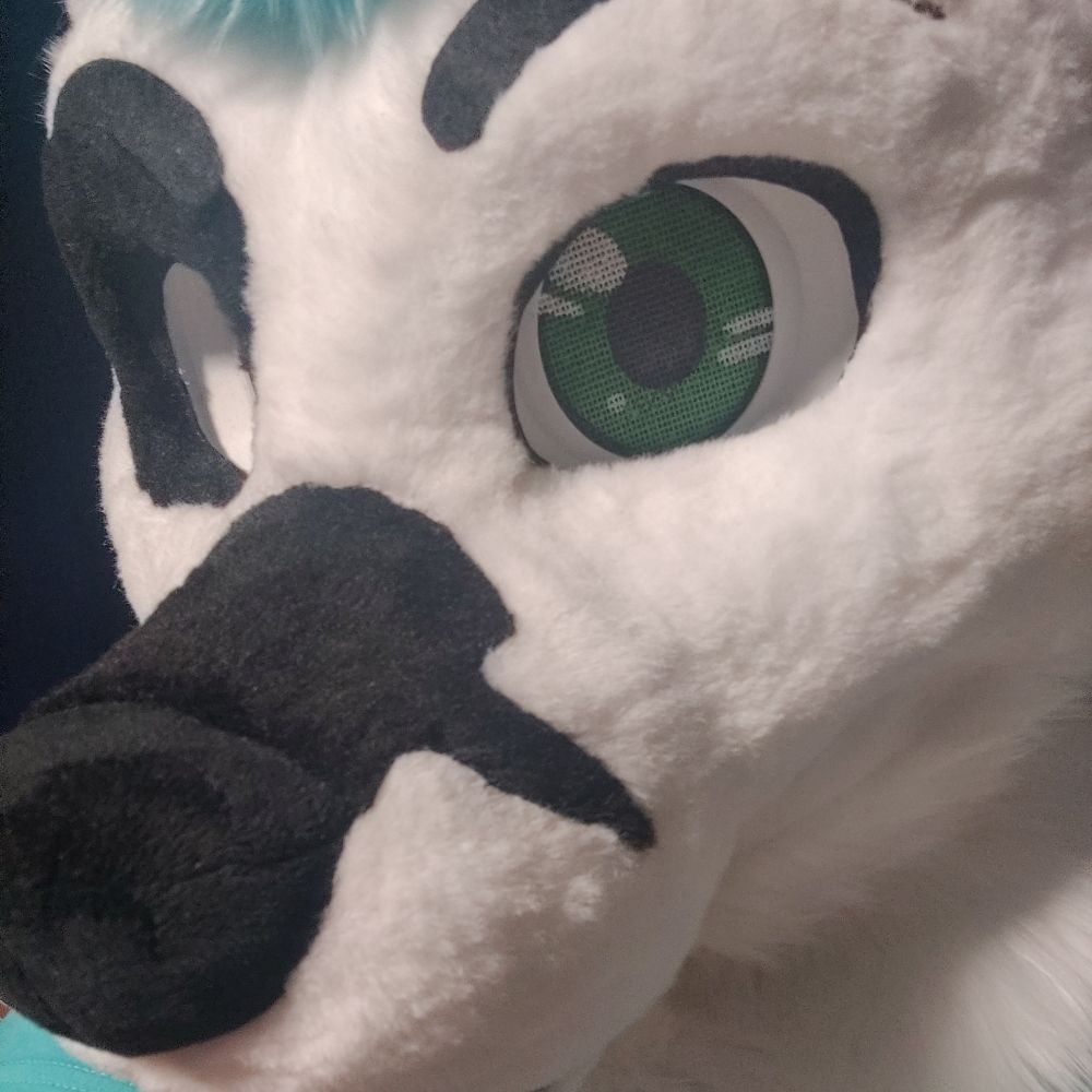 Ash wolf