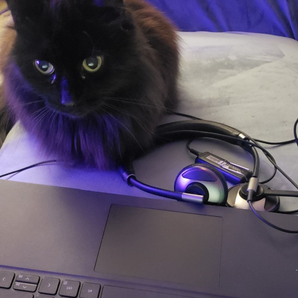 TylerPurrden