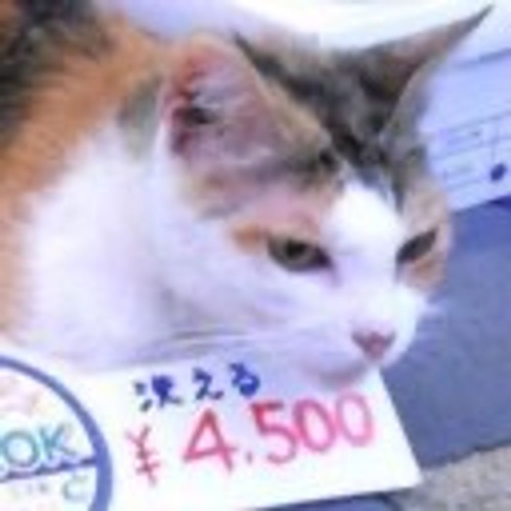 しょる
